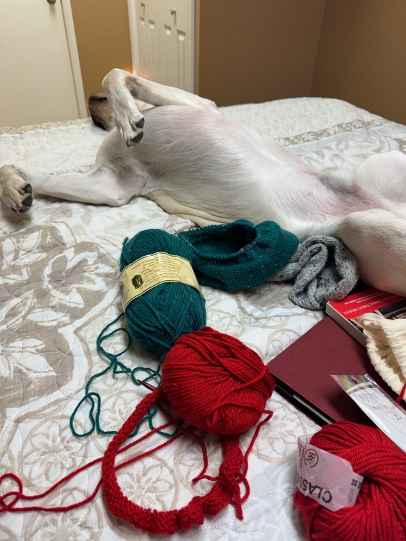 Curated visual reference: Fresh Look at All The Wips And A Dog My Tangled Yarn Knitting